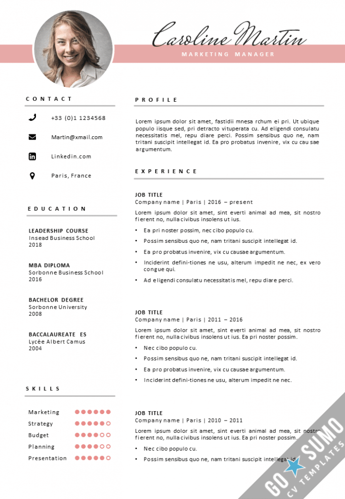 CV Template Paris - Go Sumo CV Templates