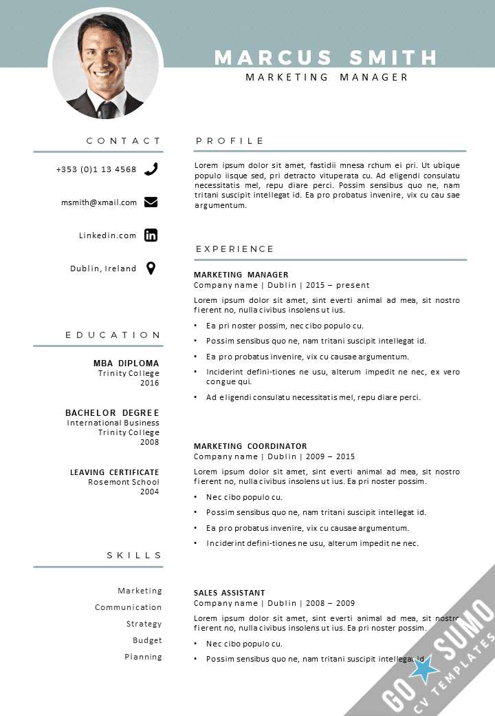 CV Template Dublin Go Sumo Cv Template