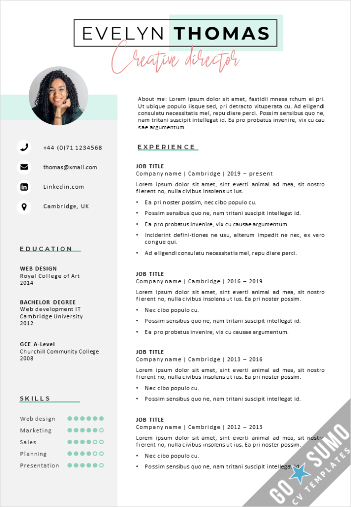 Cv Template New York Go Sumo Cv Templates