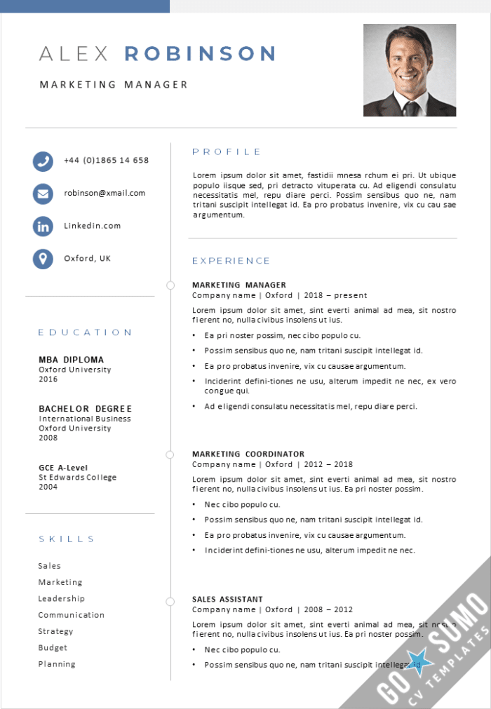 CV Resume Template Helsinki .docx/.pptx - GoSumo