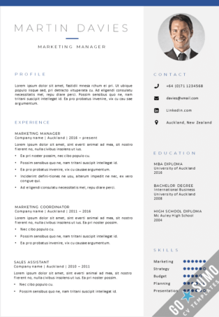 Example CV Template Auckland download