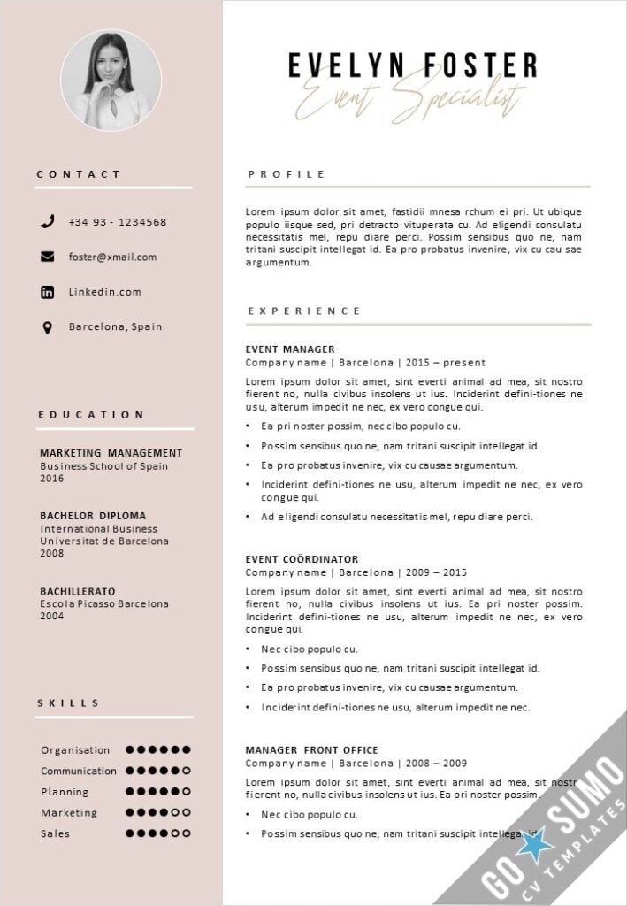 Professional CV Templates - by Go Sumo CV Template
