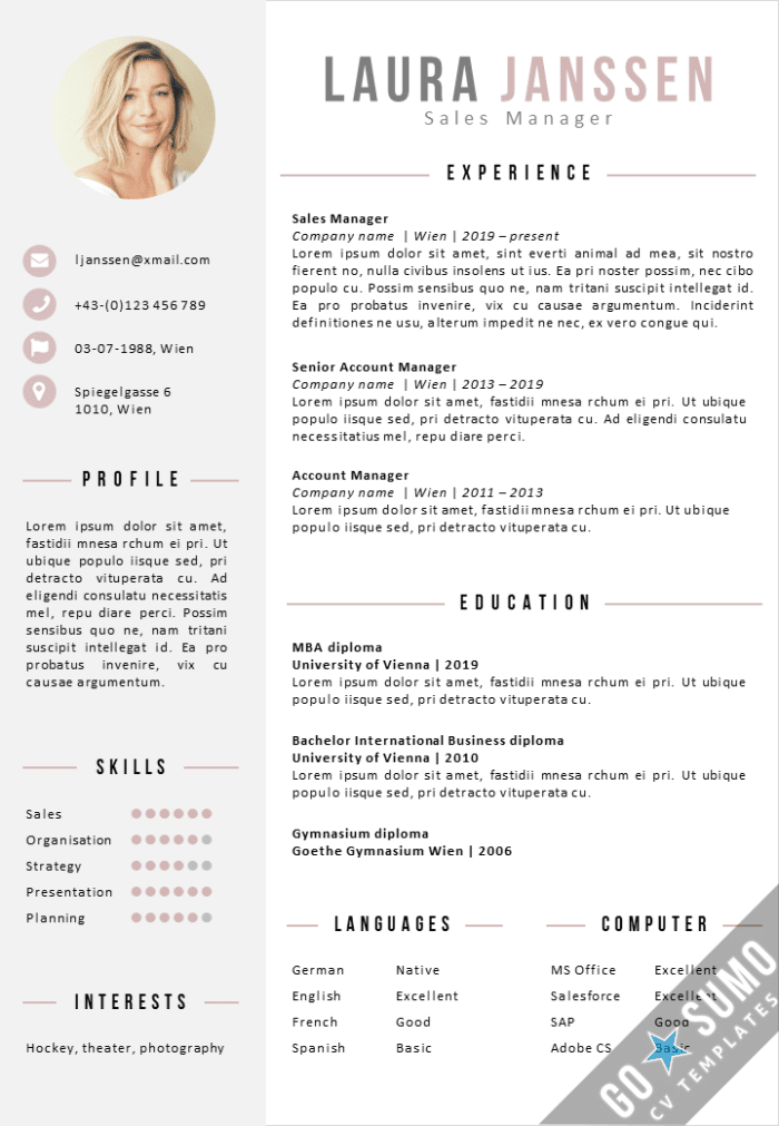 CV Template Paris - Go Sumo CV Templates