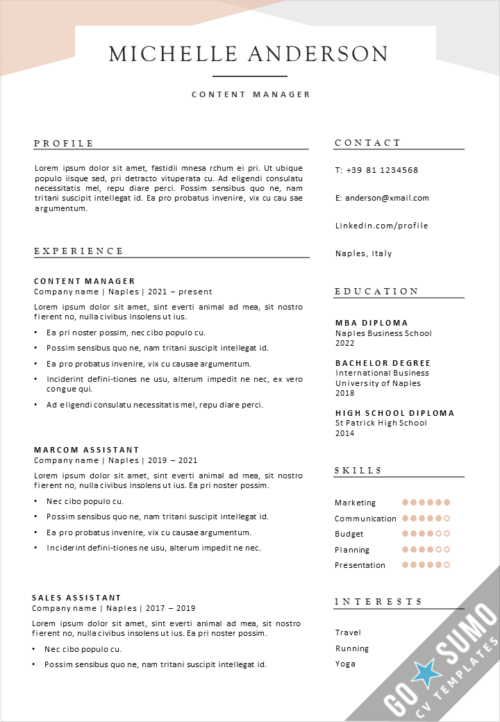 Download Free CV Template for Word